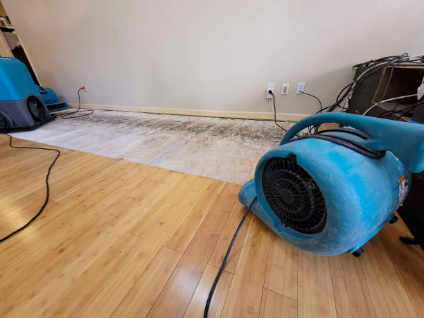 Professional Water Damage Repair technician working in Zirconia, NC